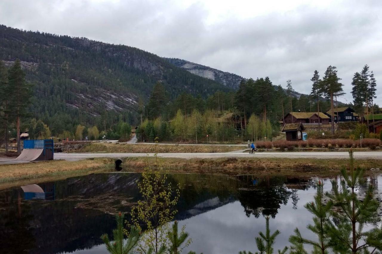 Hytte I Vradal Villa Dış mekan fotoğraf